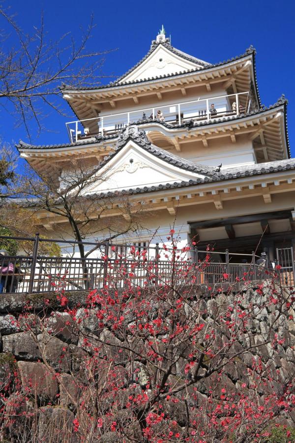【小田原～熱海～伊豆】旬の花を愛でる春旅へ出かけよう！