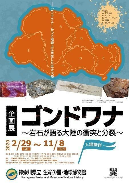 企画展「ゴンドワナ ～岩石が語る大陸の衝突と分裂～」