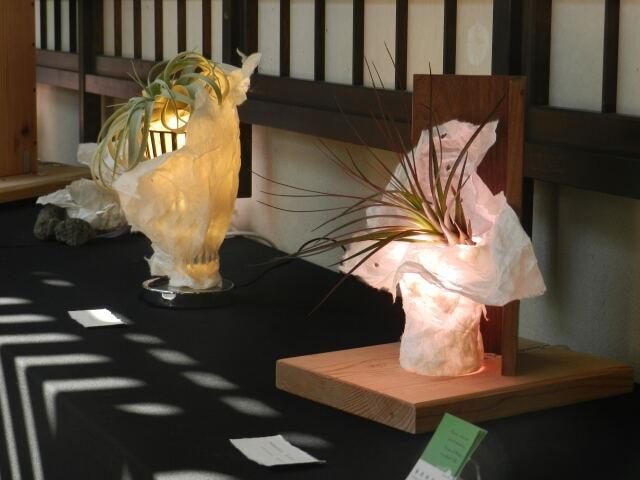 アートフレーム　和紙と光と植物