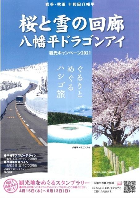 桜と雪の回廊・八幡平ドラゴンアイ　観光キャンペーン2021