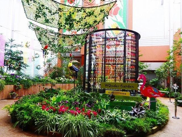 チューリップ四季彩館常設展「季節を彩る花々」～盛夏～＜中止となりました＞