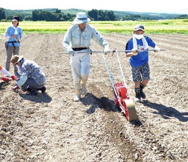 農業体験in山形県川西町「山形青菜植え付けとアスパラガス収穫」
