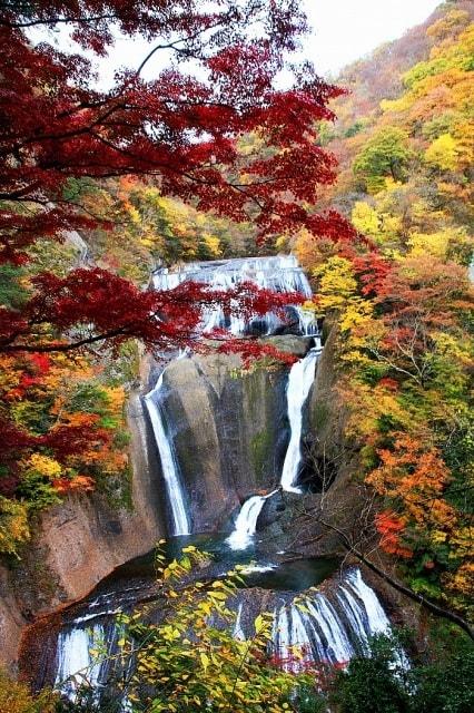 【紅葉・見ごろ】袋田の滝