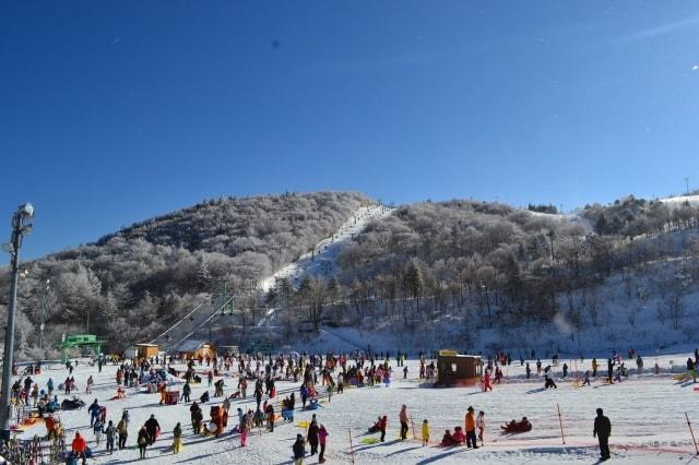 茶臼山高原スキー場2021　オープン