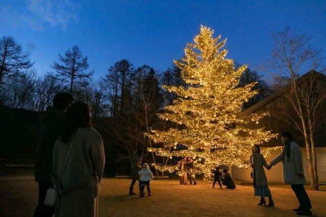 軽井沢星野エリアのクリスマス 2022