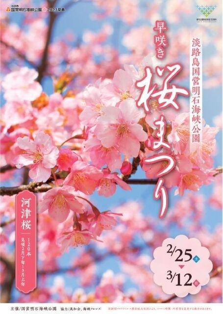 淡路島国営明石海峡公園　早咲き桜まつり