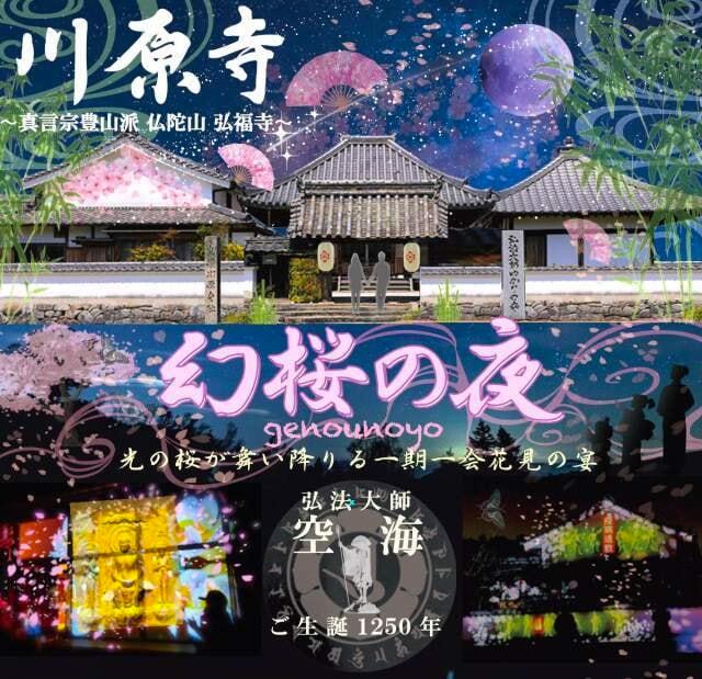 川原寺 幻桜の夜 2023