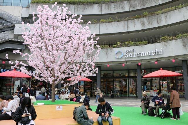 東京スカイツリータウン（R） 春のイベント