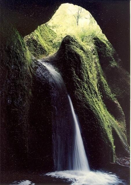 シワガラの滝トレッキング