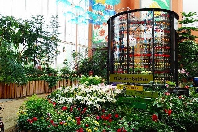 チューリップ四季彩館常設展示「季節を彩る花々」～夏～