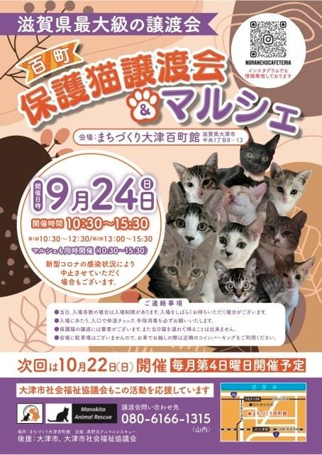 百町保護猫譲渡会&マルシェ（9月）