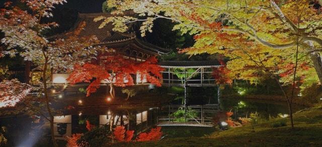 高台寺　秋の特別展・秋の夜間特別拝観