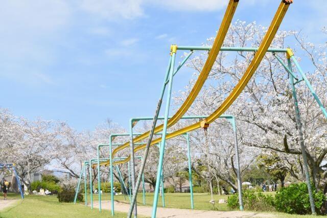 【桜・見ごろ】霧島ヶ丘公園・キャンプ場