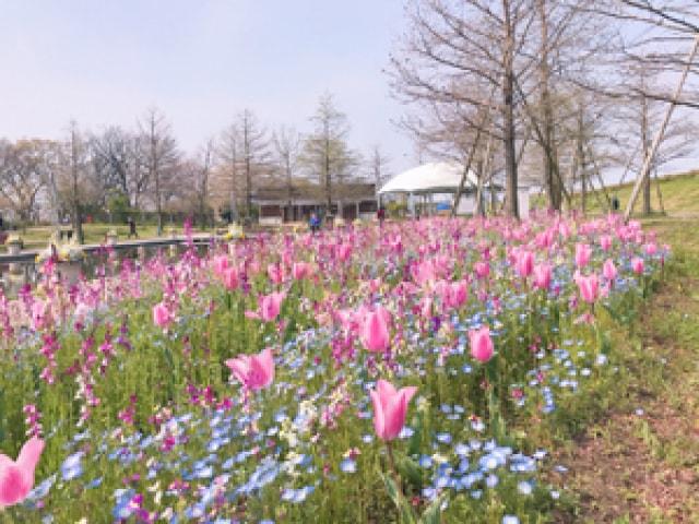 国営木曽三川公園「春のガーデンパーティー」