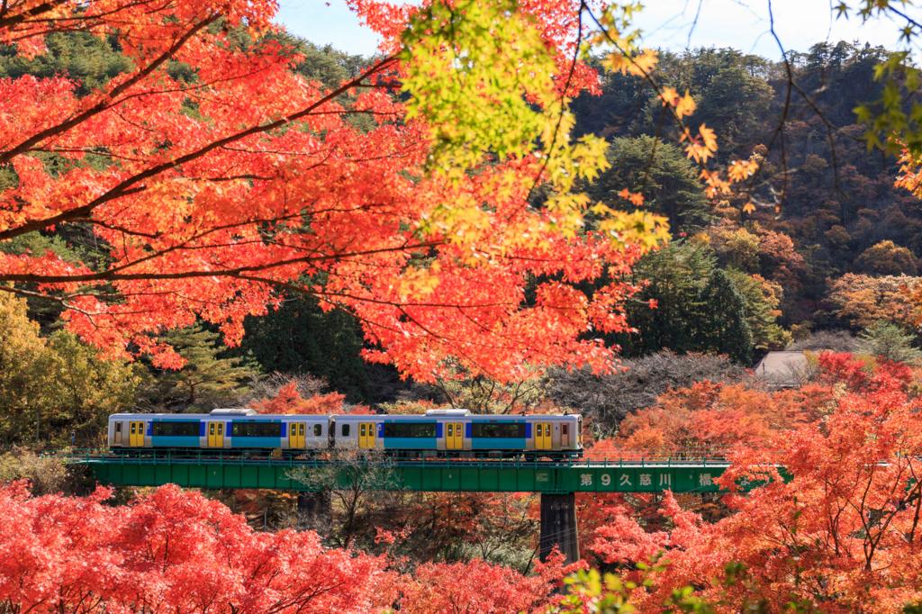 電車旅のお楽しみ！秋の味覚が楽しめる、名物駅弁５選【第2弾】
