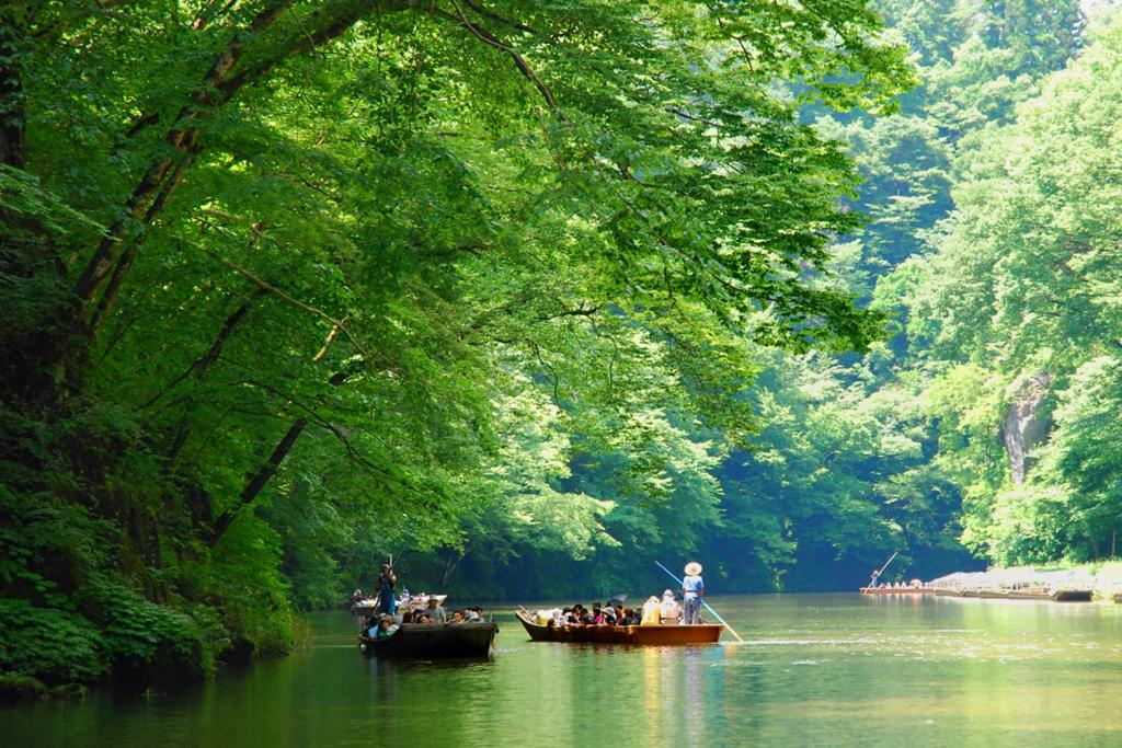 絶景あり自然あり、初夏のお出かけにぴったりの川下り・屋形船はいかが？