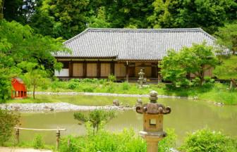 愛媛県で有名なパワースポットの神社・仏閣