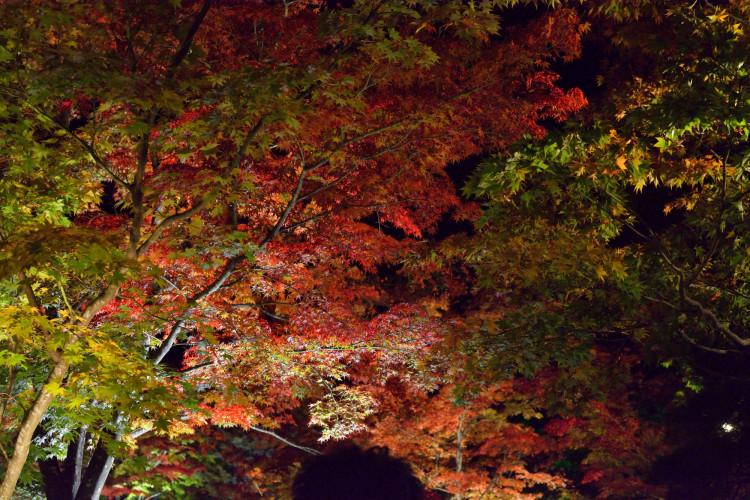 紅葉で有名な宮城県のゆっくりできる温泉地