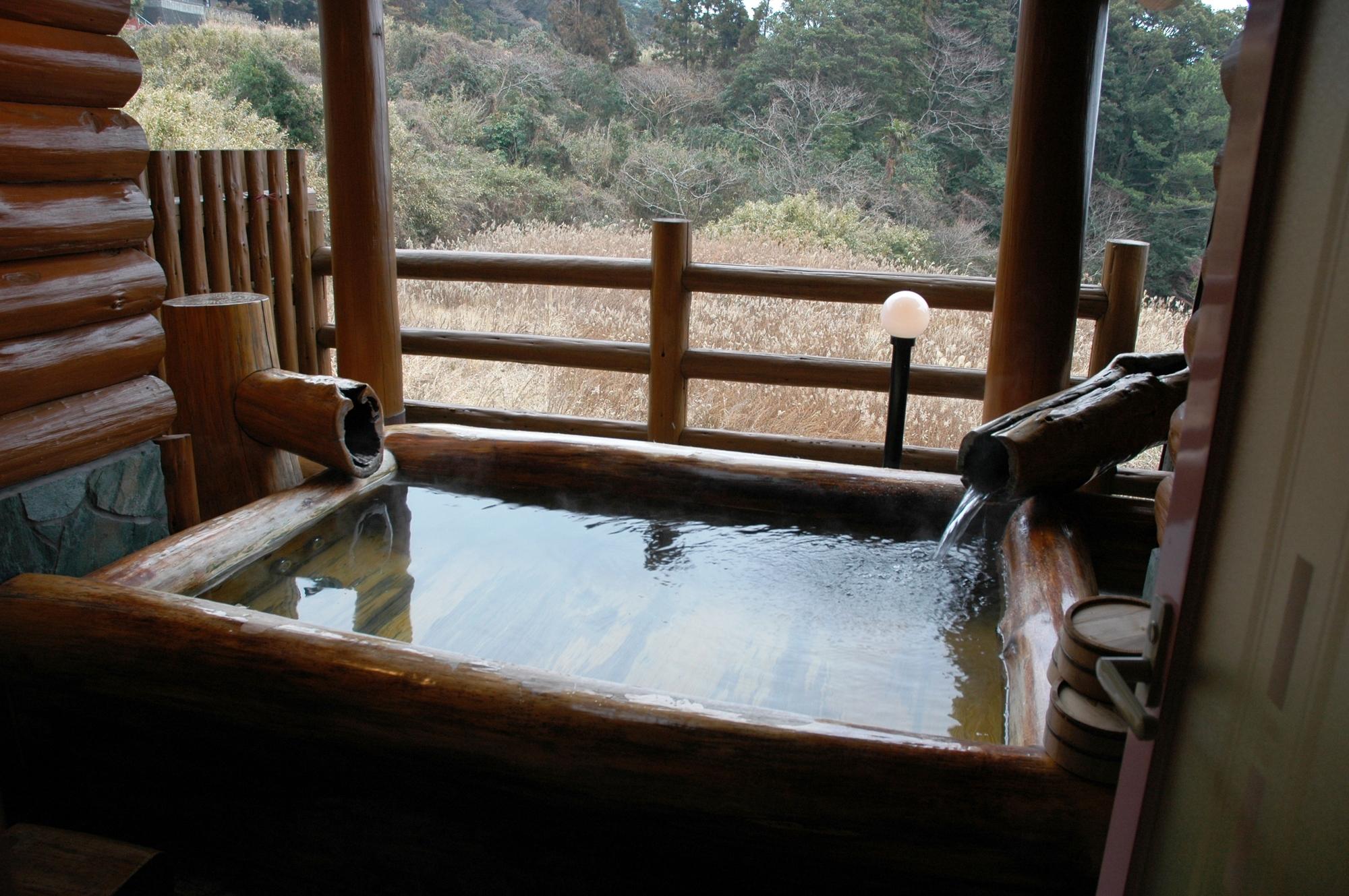 徳島県の魅力的な日帰り温泉！美味しいランチ！綺麗な温泉街！
