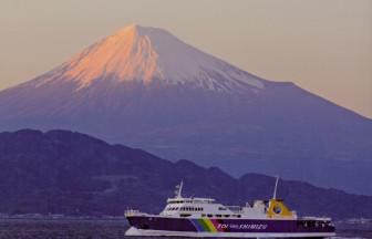 春の伊豆旅行の帰りは駿河湾フェリーに乗って、渋滞を回避＆富士山見物！