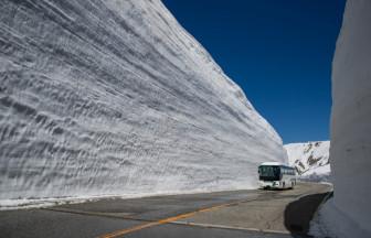 両側は20mの雪の壁！ 2ヶ月限定の絶景「雪の大谷」を歩こう