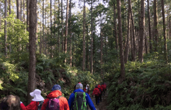 ニッポンがここちよい、健やかなる旅のススメ「第３回：蘇りの道『熊野古道』の芸術的な森林浴を体験する」