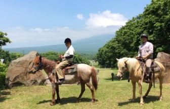 【連載】ニッポンがここちよい、健やかなる旅のススメ 第6回：『どさんこ』とともに創る、癒しの時間『Paard Musée（パド・ミュゼ）』
