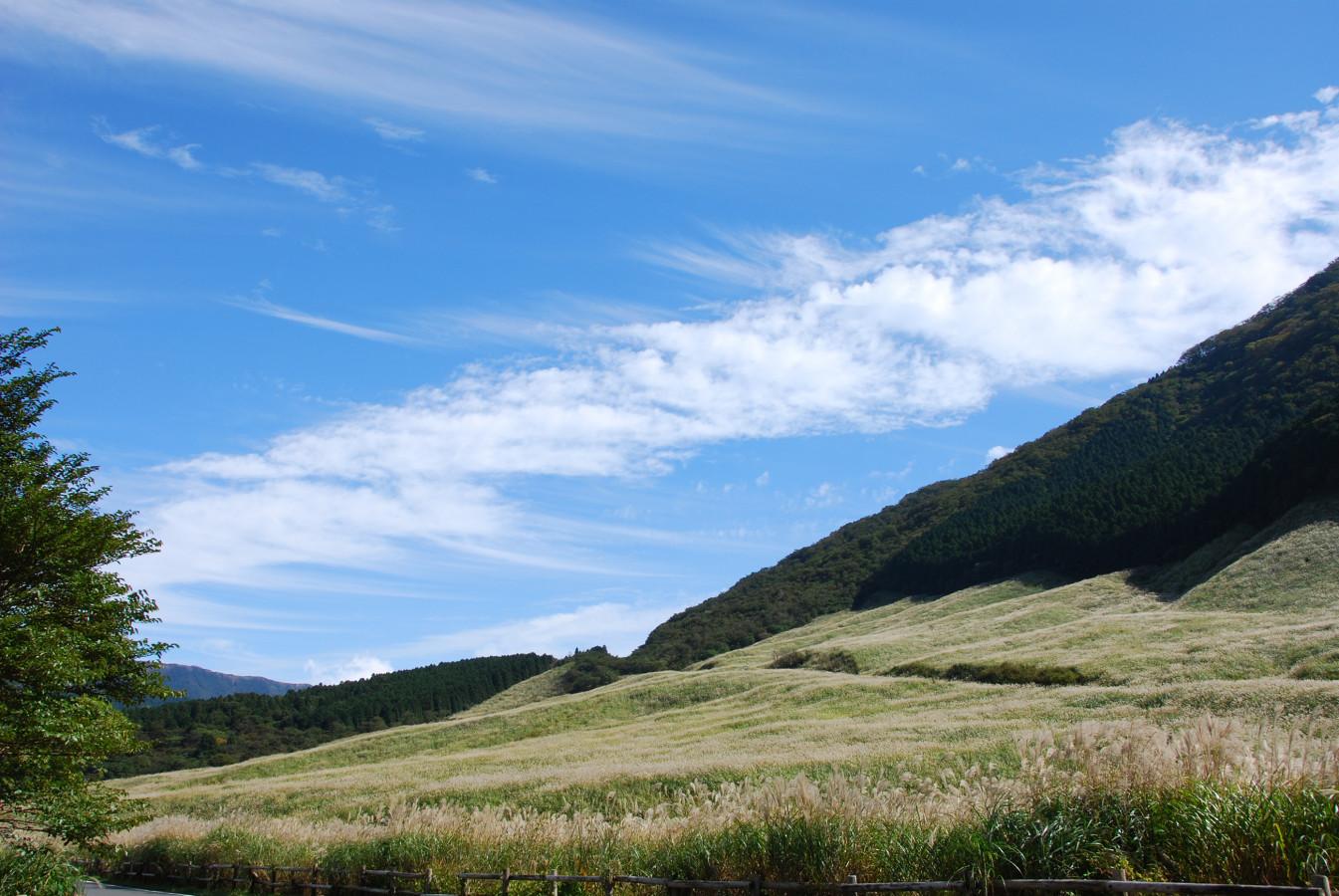 絶景の撮影スポット！四季折々のすすきが美しく輝く「仙石原高原」