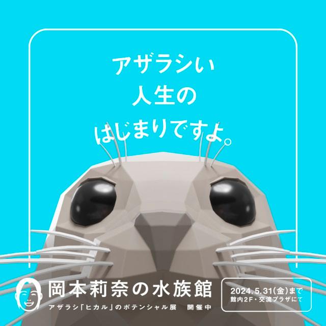 飼育スタッフ館長化プロジェクトの第2弾 「岡本莉奈の水族館～アザラシ「ヒカル」のポテンシャル展～」