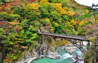 鬼怒川・川治・湯西川温泉から行ける！栃木県の紅葉おすすめスポット